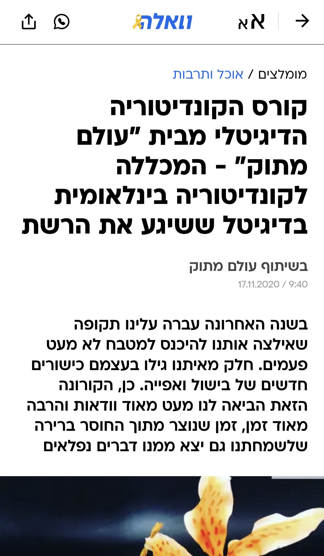 כתבה בוואלה